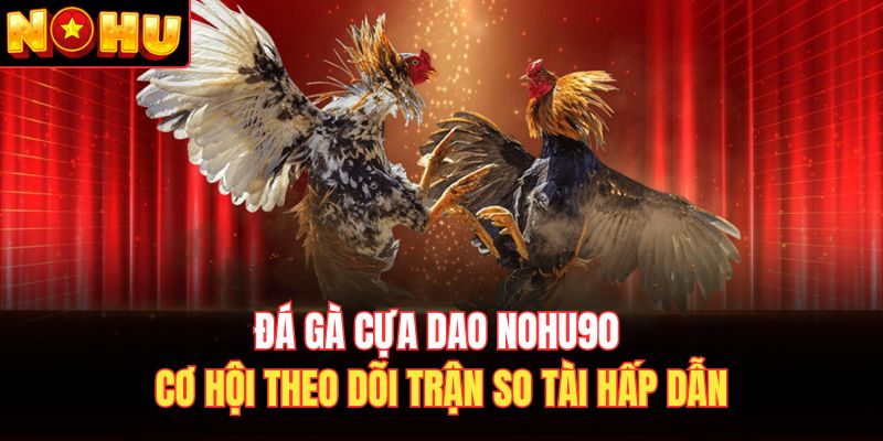 Đá gà cựa dao