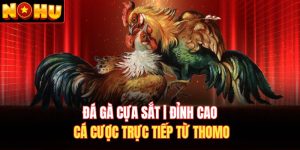 Đá gà cựa sắt