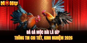 Đá gà Mộc Bài