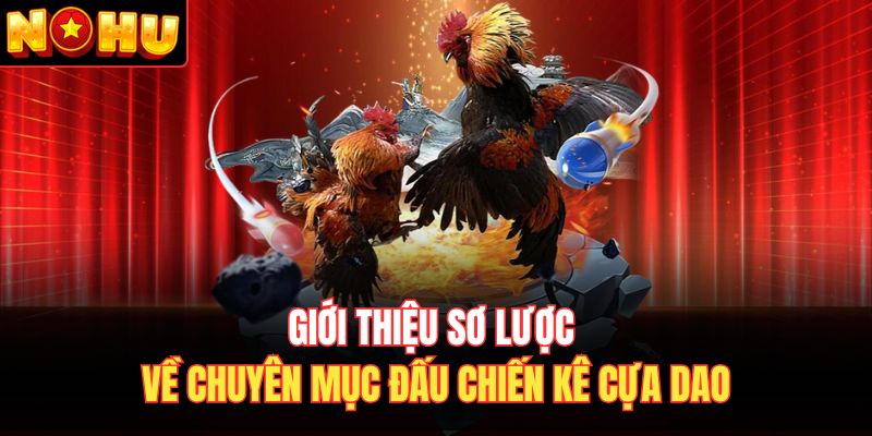 Giới thiệu sơ lược về chuyên mục đấu chiến kê cựa dao 