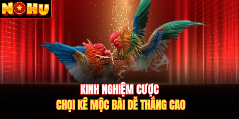 Kinh nghiệm cược chọi kê Mộc Bài dễ thắng cao