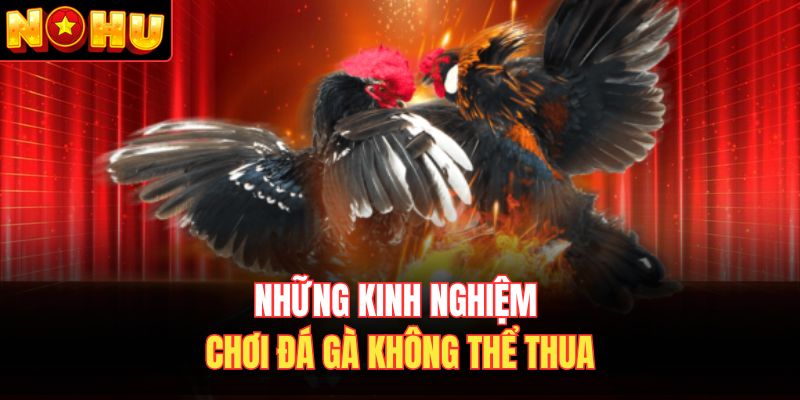Những kinh nghiệm chơi đá gà không thể thua