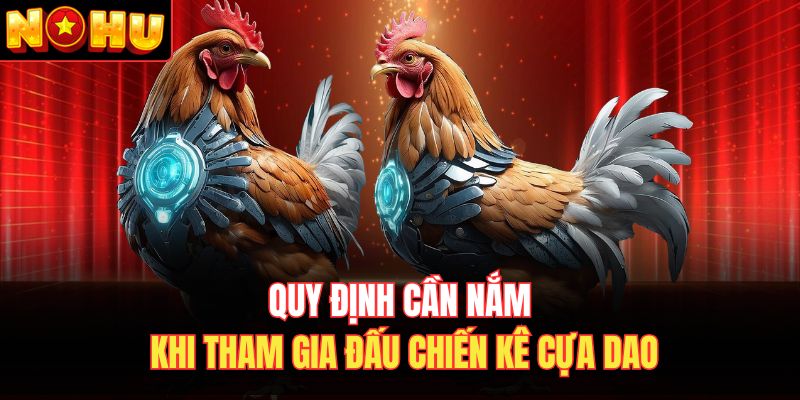 Quy định cần nắm khi tham gia đấu chiến kê cựa dao 