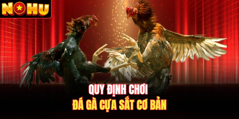 Quy định chơi đá gà cựa sắt cơ bản