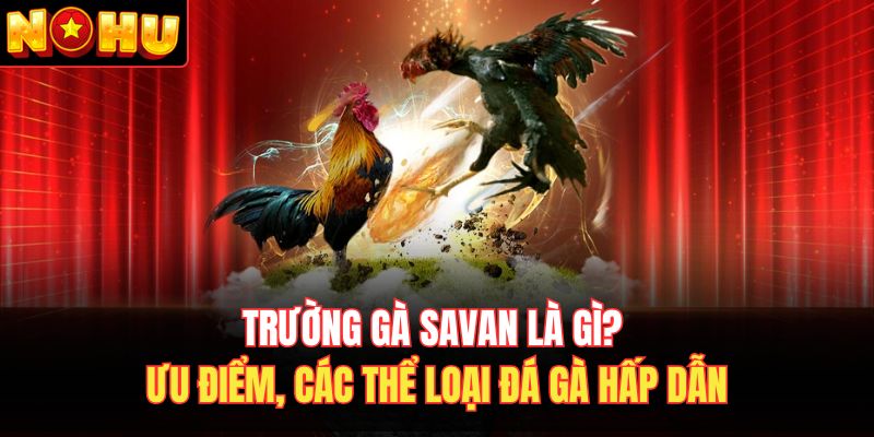 Trường gà Savan