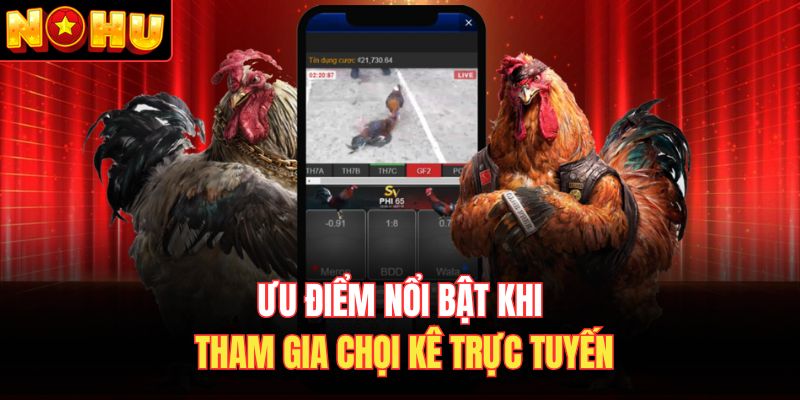 Ưu điểm nổi bật khi tham gia chọi kê trực tuyến