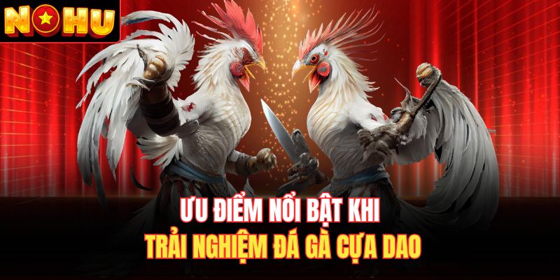 Ưu điểm nổi bật khi trải nghiệm đá gà cựa dao 